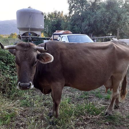 Agriturismo Codula Fuili Villa Cala Gonone Dış mekan fotoğraf