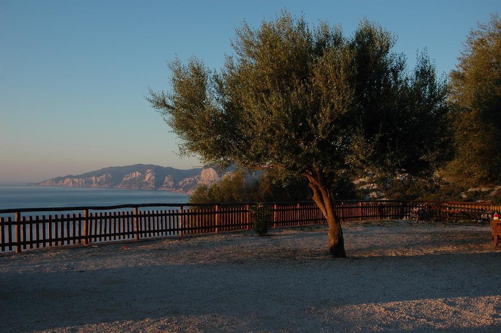 Agriturismo Codula Fuili Villa Cala Gonone Dış mekan fotoğraf