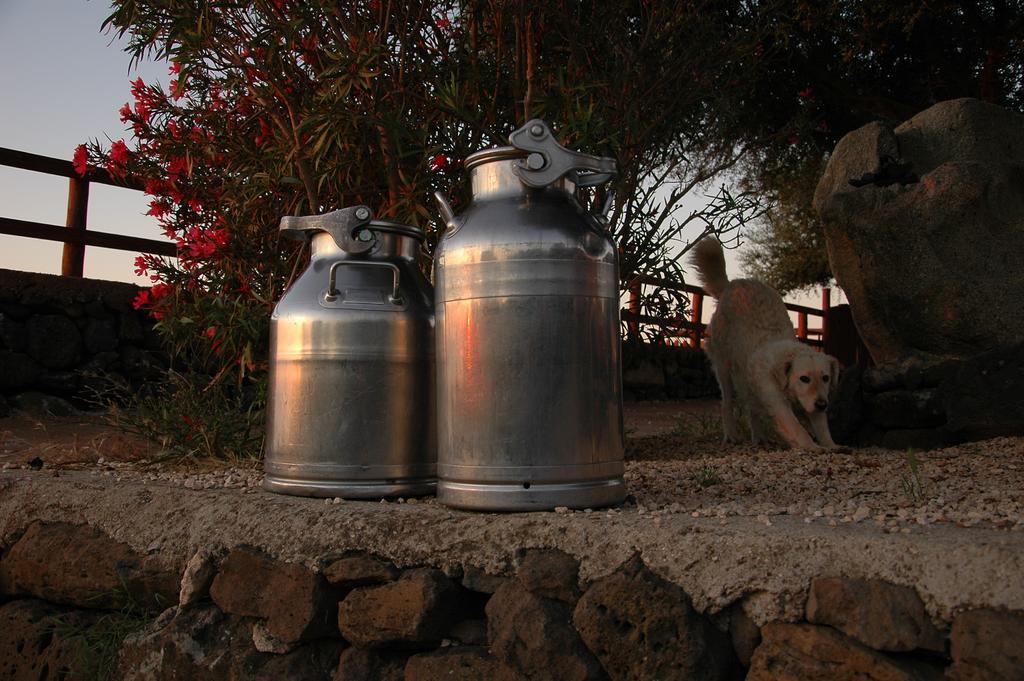 Agriturismo Codula Fuili Villa Cala Gonone Dış mekan fotoğraf