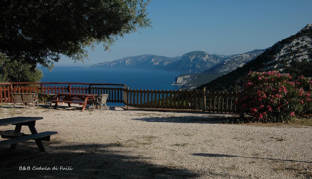 Agriturismo Codula Fuili Villa Cala Gonone Oda fotoğraf