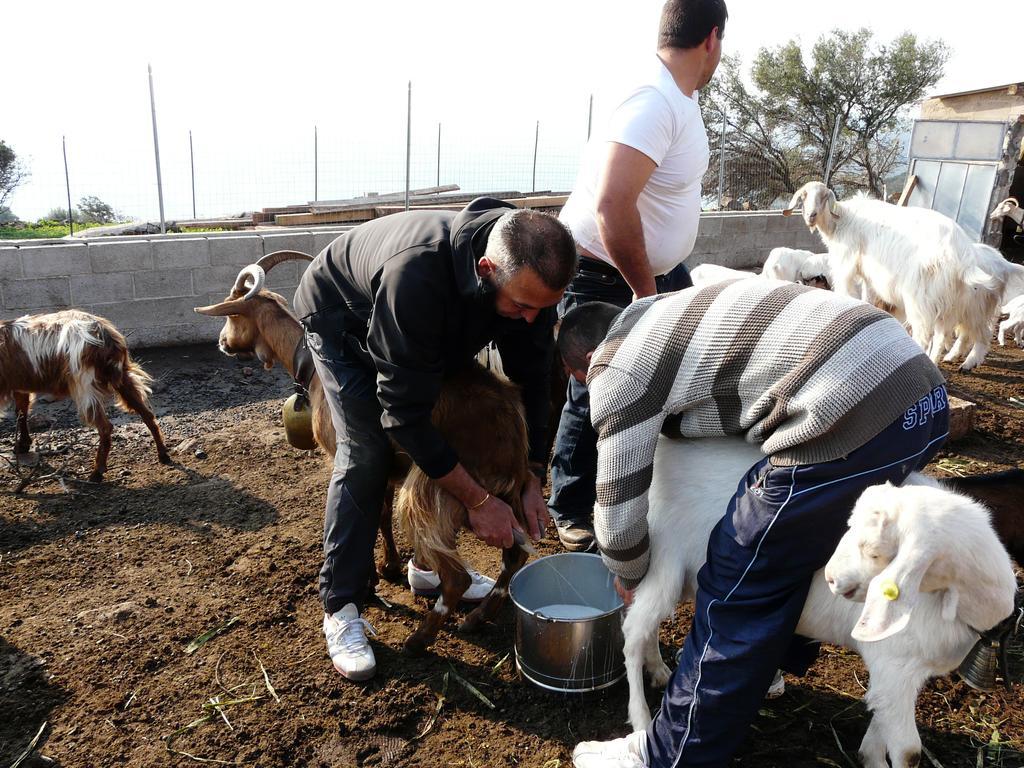 Agriturismo Codula Fuili Villa Cala Gonone Dış mekan fotoğraf