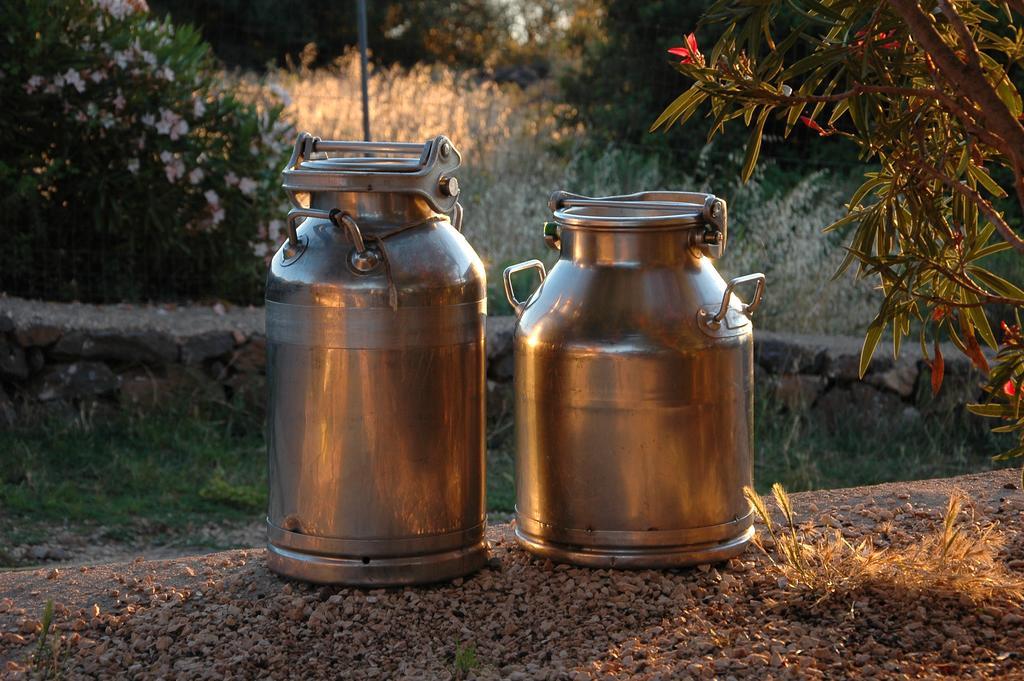 Agriturismo Codula Fuili Villa Cala Gonone Dış mekan fotoğraf