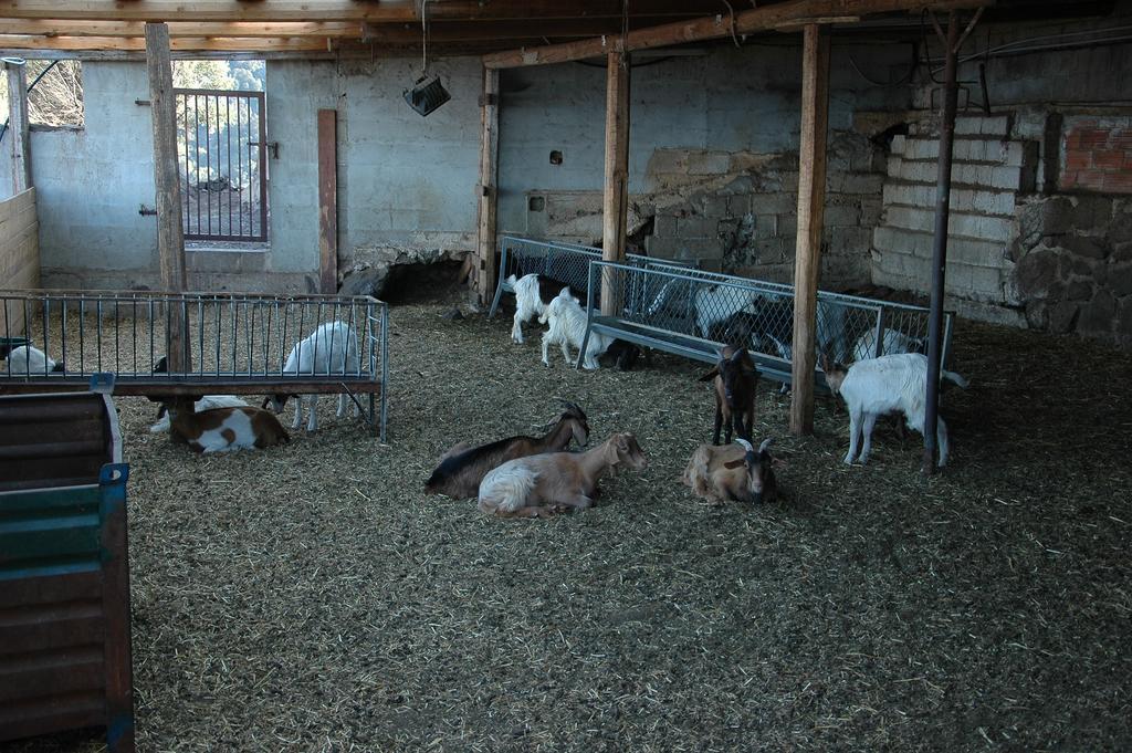 Agriturismo Codula Fuili Villa Cala Gonone Dış mekan fotoğraf