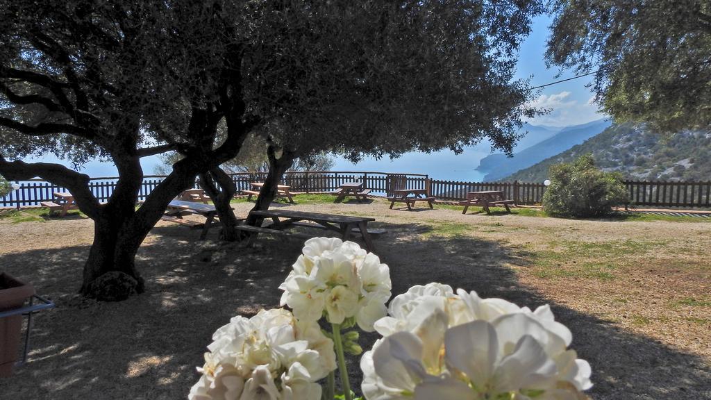 Agriturismo Codula Fuili Villa Cala Gonone Dış mekan fotoğraf